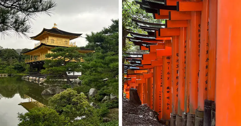 京都电影取景地 - 今日吃瓜